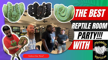 Bill Stegall’s SUPER RARE Reptile Room Party Tour + The BEST Reptile Enclosures in the USA