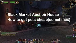 Blackmarket Auction House: how to get pets on the cheap (sometimes)