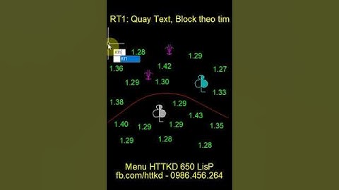 Autolisp RT1 quay Text và Block theo tim tuyến