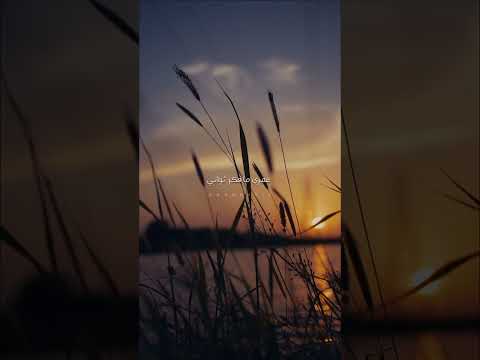       هاني شاكر فرق في الإحساس