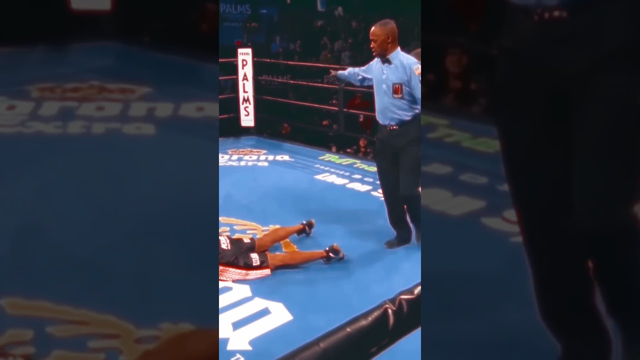 Mini Tyson Tank Davis 🔥🥊 