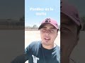 100,000 subs en vivo esta noche.