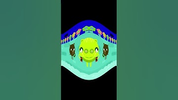 Super Simple Songs Ready Count To Three Blow Bubbles! Intro Logo Sponsored By: Preview 2 Effects