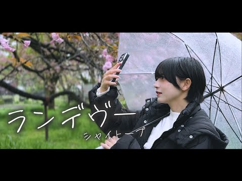 SAKURAシェード YUSAKURA（ 夕桜・ヴィンテージアンバー ） SAKURAシェード YUSAKURA（ 夕桜・ヴィンテージアンバー