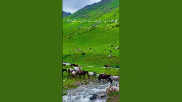 سورة الفاتحة #اكسبلور #المصحف #quran #لايك #duet #لايك #صديق_المنشاوي