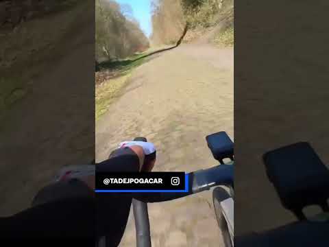 🔥🤩 Pogacar qui s'entraine sur les routes du Nord pour son premier Paris-Roubaix ! #shorts #foryou