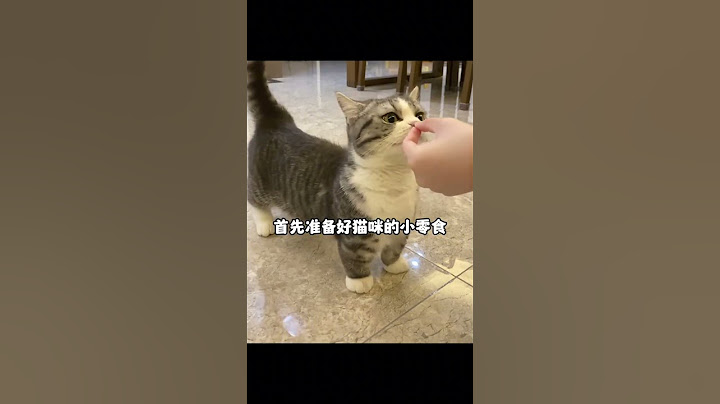 猫舍老板不会告诉你的3个养猫秘诀 #养猫经验分享 #养猫新手 #猫咪的迷惑行为
