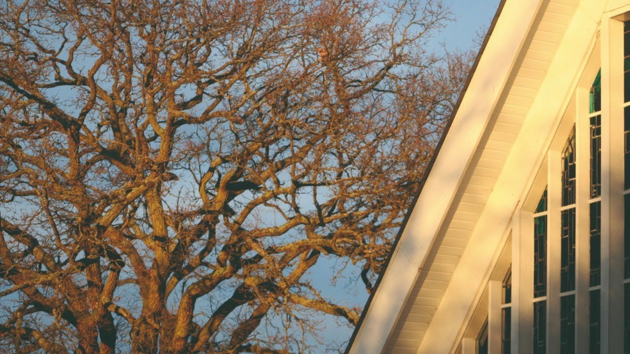 Wisley With Pyrford Sunday Service 7th April 2024 YouTube