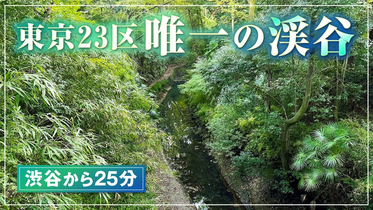 東京23区唯一の渓谷！渋谷から25分で行ける等々力渓谷