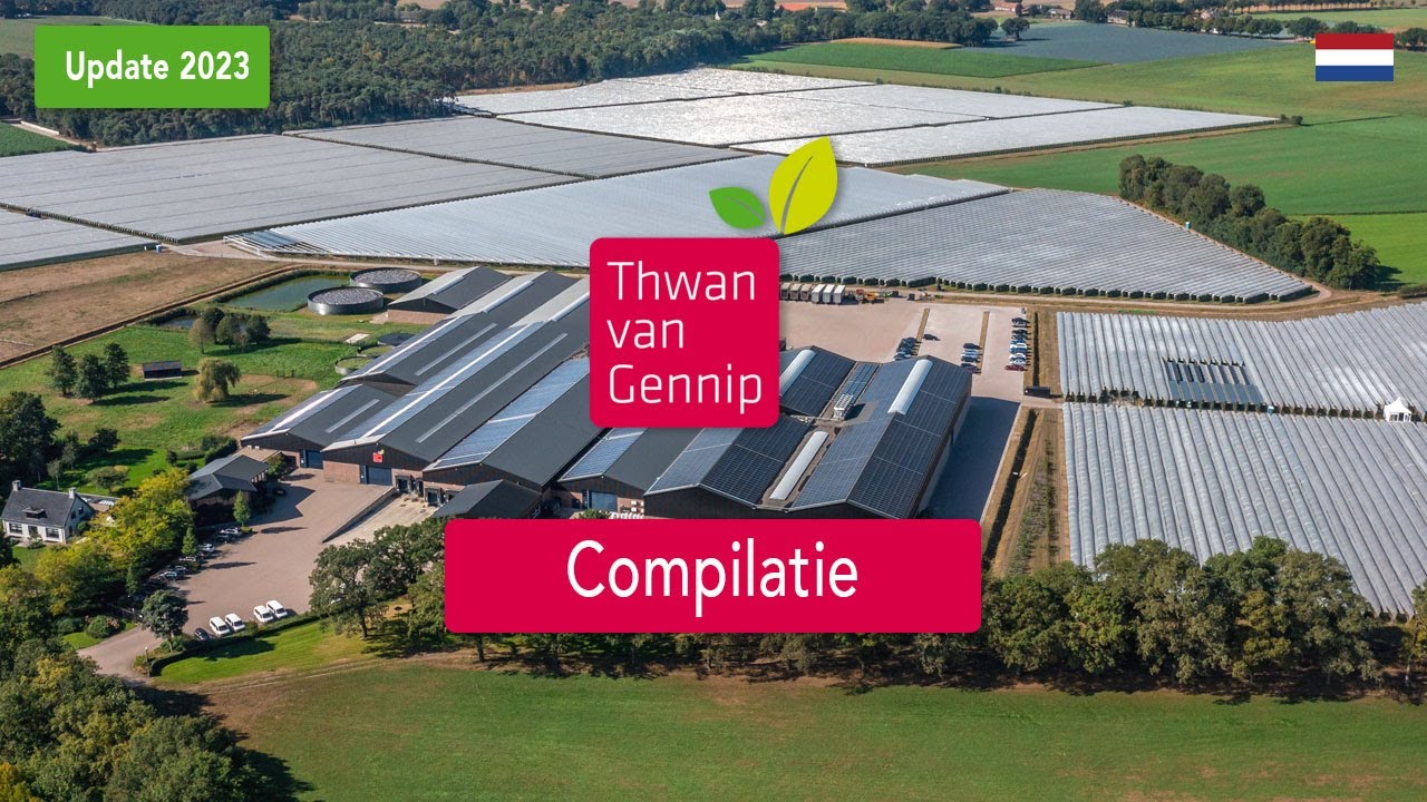 Thwan van Gennip Compilatie (Nederlands)
