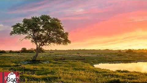 الشيخ محمود علي البنا وآيات من سورة مريم