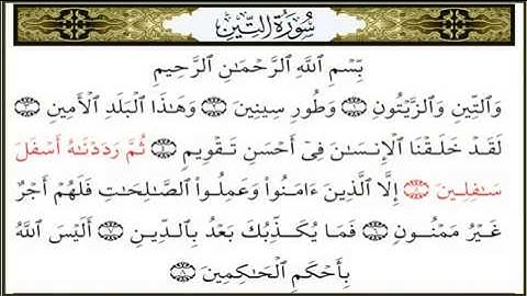 سورة التين القارئ علي جابر