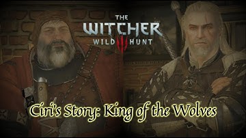 The Witcher 3 Wild Hunt Playthrough Part 8