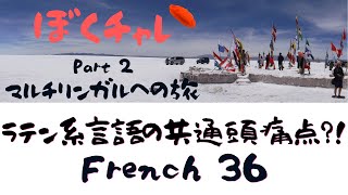 DuolingoでFrench 36 「Agreement」カテゴリでは何学べる？ラテン系言語の共通頭痛点かなぁ～？