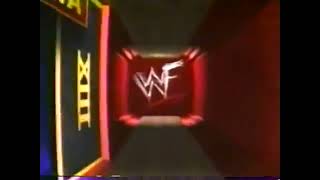 WWF WrestleMania XIV (1998): Arena & Ring Set