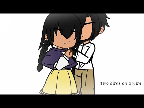 || Two birds on a wire || encanto || sad || [M i z u k i]