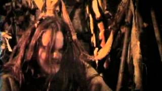 Finntroll   Trollhammaren