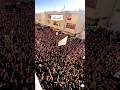 اعداد هائلة ومرعبة في فزعة العباس موكب الاحزان في السماوة اعداد هائلة ومرعبة في فزعة العباس موكب الاحزان في السماوة