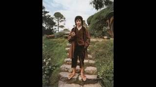 What if Frodo Baggins never left the Shire