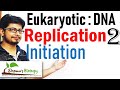 DNA replication in eukaryotes 2 | replication Initiation