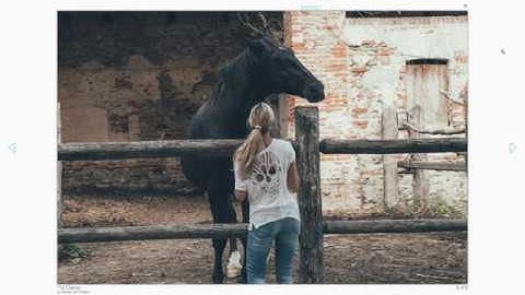 Arsha - Free Boostrap Theme Preview