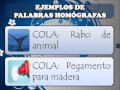 PALABRAS HOMÓFONAS:5°B