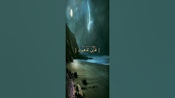 (فأين تذهبون) القارئ طارق محمد _ تلاوة ندية