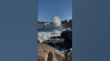 اكتب شيء تؤجر عليه ❤️  #قرآن #تلاوة_خاشعة #احمد_خضر #اكسبلور