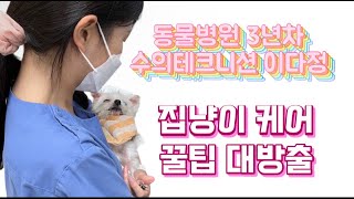 [LIVE] 현직 3년차 수의테크니션이 알려주는 집냥이 케어 꿀팁 대방출