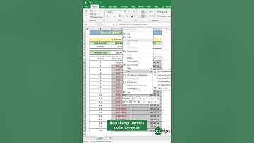 PPMT Function in Excel: Calculate Principal Payments on a Loan #excel