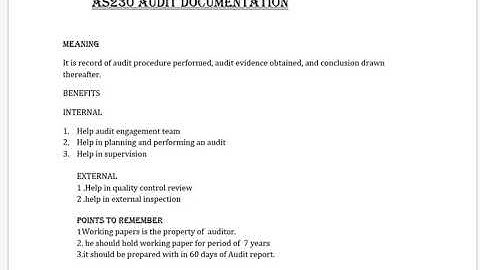 SA-230 Audit documentation
