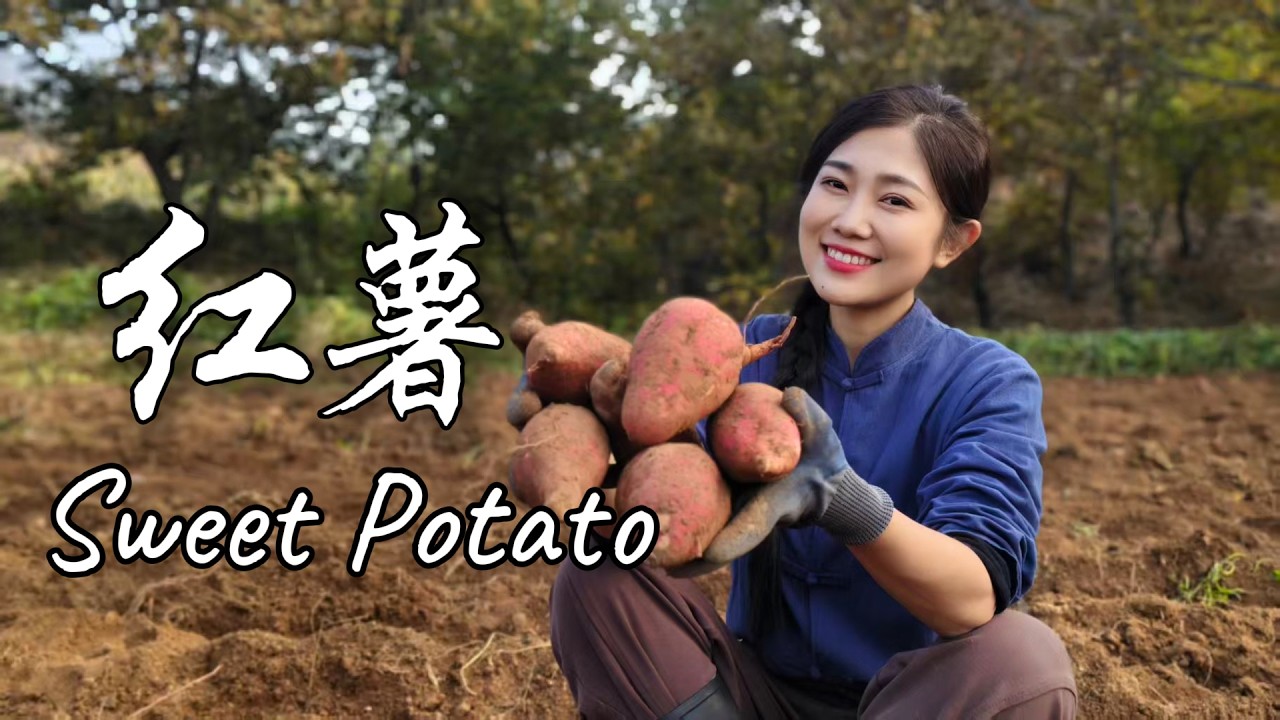 Who Says Sweet Potatoes Are Just for Roasting? Try This Family-Favorite Twist【海曲姑娘 Haiqu Girl】