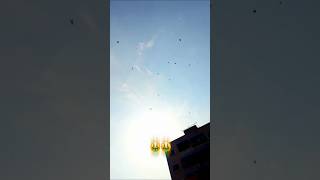 Flyer 🕊️🗿💪🏻💀👑#KabootarBaaz#PigeonBaazi#PigeonLife#KabootarLovers#BirdLovers#FlyingMachine