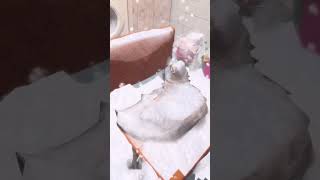 смешные коты шок снег в квартире#смешно #funny#cat#подпишись