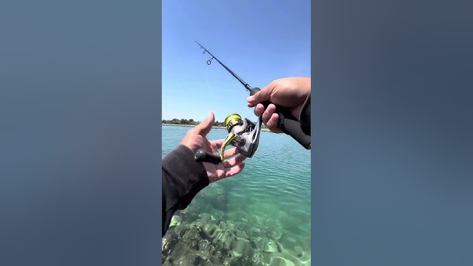 The POWERFUL Travel Fishing rod (Sea, carp, pike, more) 🎣 