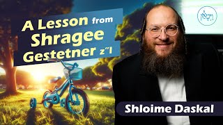 A Lesson from Shragee Gestetner Z