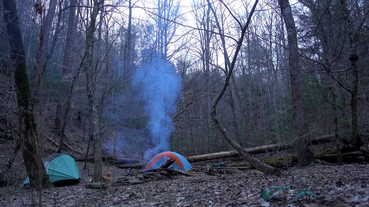 Sipsey Wilderness Trail 209 Hike and Camp YouTube