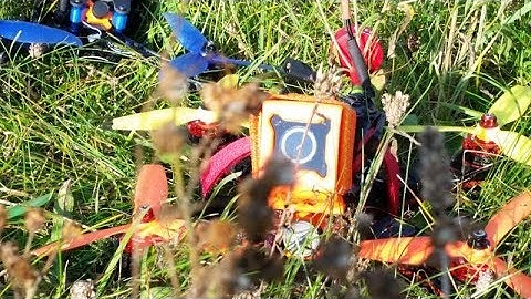 Two Wizard Chase Runcam 3 Vs Xiaomi Yi