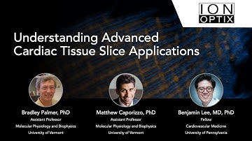 Understanding Advanced Cardiac Tissue Slice Applications