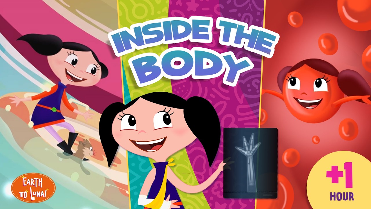 How the Immune System Works: Vaccines and Antibodies