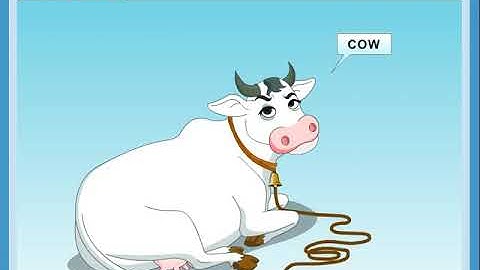 Std 2 science ch 5 Useful Animals