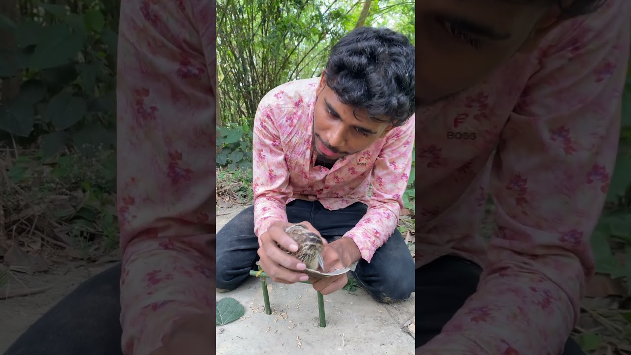 Build Underground Parrot Trap Using Cage Tool With Can_ Easy Bird Trap Working 100