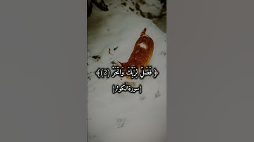 🎧 سورة الكوثر بصوت الشيخ عبد الرحمن مسعد 🌿 تلاوة تبعث الطمأنينة في القلب 💫  #الشيخ_عبدالرحمن_مسعد