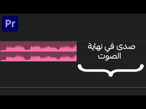 كيف تسوي صدى في الصوت بريمير برو