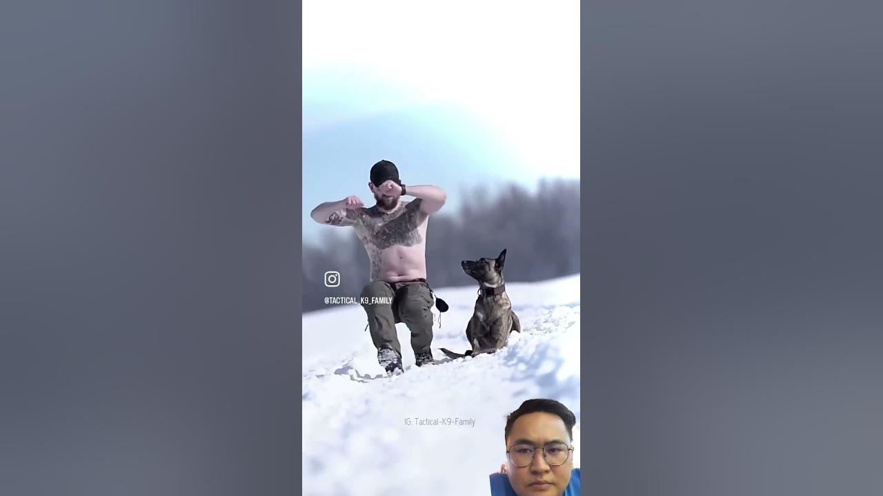 #dogs #usa #dogs #music #english #cover #song #cat #cutebaby #art #army #funny #totalgaming #mma #dogs #usa #dogs #music #english #cover #song #cat #cutebaby #art #army #funny #totalgaming #mma