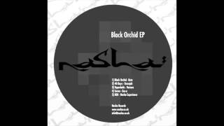 Nasha Experience - 808 (NR010)