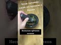 Когда тебе сказали: "Ты еще подорожник приложи"..  #фито #биохакинг #лечение #оздоровление