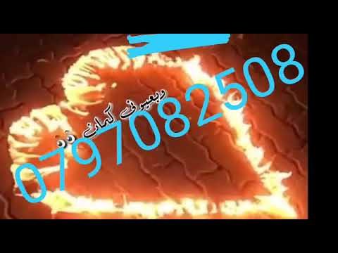 تركي ابوسعيد