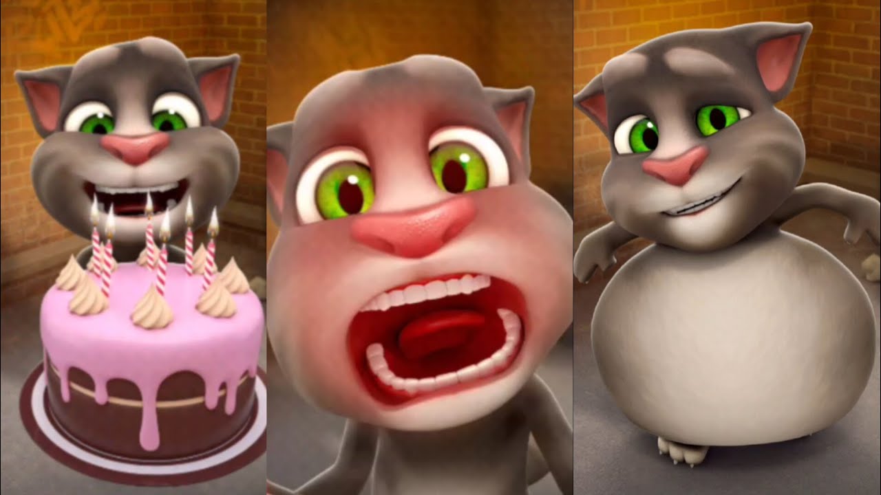 My talking Tom Funny 🥰🥰Live 🤣🤣