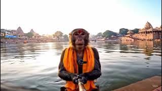 3653891248598965037 75221644612